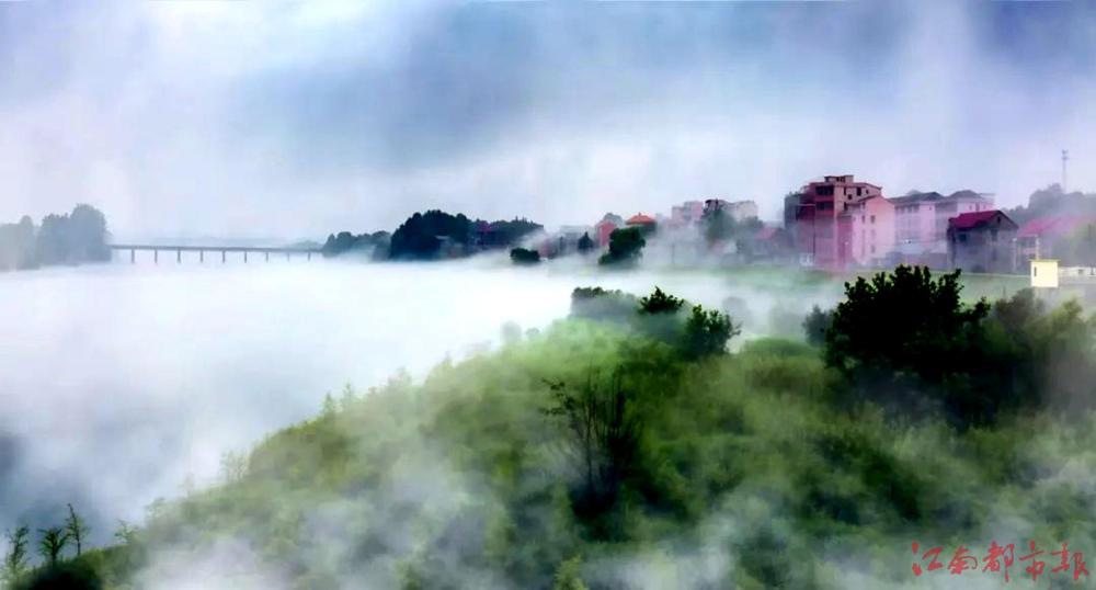 “雨后贛江新區：云霧繚繞，人間仙境！